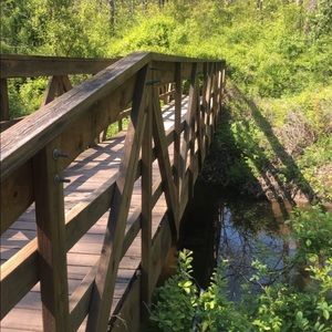 Meet your Posher, Lilly